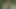 Büyük memeli orta yaşlı seksi kadınlar açık havada grup seks sahnesinde anal seks yapıyor