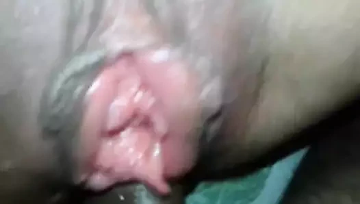 Olgun büyük kedi anal