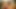 Alyssa Branch ve Aj Applegate bu üçlü grup sekste amcık yiyor ve yarak sikiyor