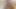 Büyük göt köpek pov üzerinde büyük siyah horoz lanet. - xxevde yalnız.