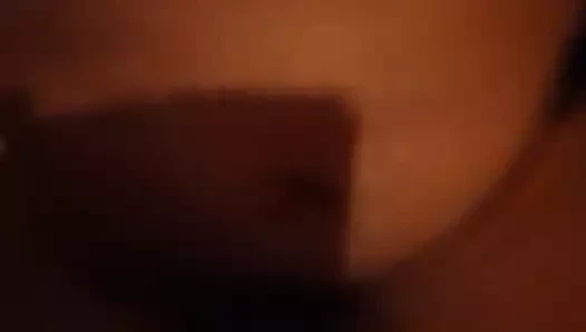 Siyah horoz içinde oyuncak kedi