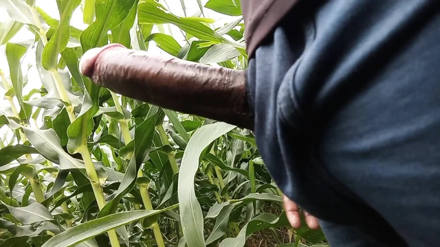 Makka ke khet me oil se malish apne lambe land ki