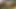 Üvey kız kardeşimi porno izlerken yakaladım ve sonunda cinsellik oluyor - aile tutkusu