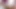 Janice griffith gets becerdin sert