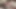İki güzel kız müzede seks yapıyor - 3d animasyon