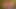 santas little helper under the Christmas tree now in full 4K high quality Ultra HD
