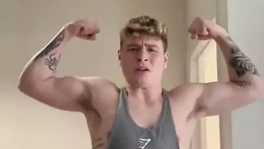 Düz nakit alfa fagtaxer