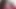 Gonzo şaplak