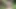 Baştan çıkarıcı Mikuru Shiina açık havada sapık jav oral seks yapıyor!