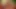 Dahlia Sky ve Jayden Lee döllenmeyi seviyor