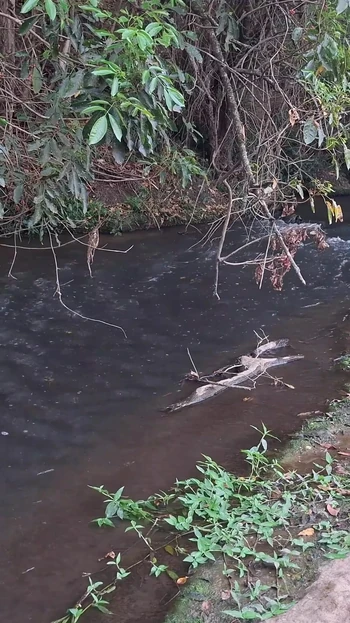 Ключевой момент из "Незнакомцев застукали за сексом у водопада."