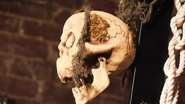 Genç ve milfs dönüş halloween parti içine alem ve binmek yarak için orgazm