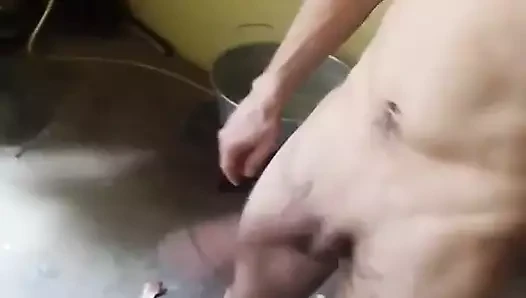 Great Algerian zeb 🇩🇿