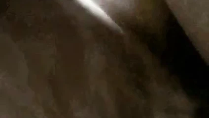 Japon ev köpek stili seks