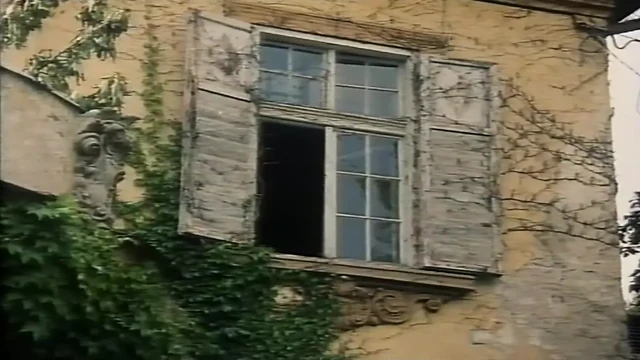 Kasadan porno - cilt 31