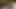 Aşırı latina kedi vurma tarafından bir dev horoz