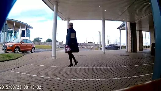 Dış mekan opakları