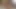 Robbies kıçından haftanın videoları
