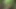 Fuck and Suck BIG Tits Stranger in Woods