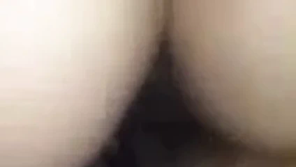 abanoz kızlar taşlama pussies