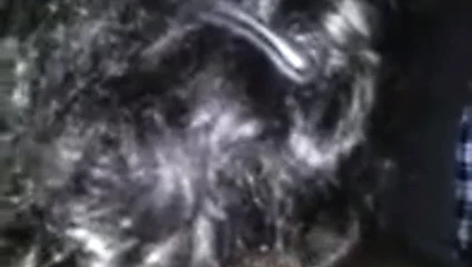 En iyi emmek ve el sıkışmak yaşlı kadın 22 yaşındaydım