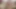 Seksi travesti siyah iç çamaşırlı ve siyah çoraplı mastürbasyon yapıyor