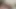 Look how I swallow my roommate's huge cock -amateur couple- nysdel