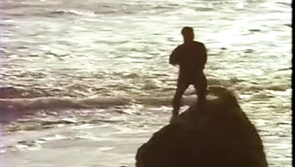 Roxy bakire kaçak (1991)