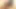 Seksi amcıklar orgazm için tüm pozisyonları koydu ve döndü - 4