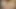 Hintli tombul Hintli ateşli evli kadın kocasıyla seks yapmayı seviyor animasyon videosu Hintçe sesli son bölüm 4