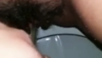 Pis