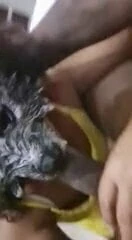 Büyük sakallı babanın siyah horozu lana cd tarafından emilir.