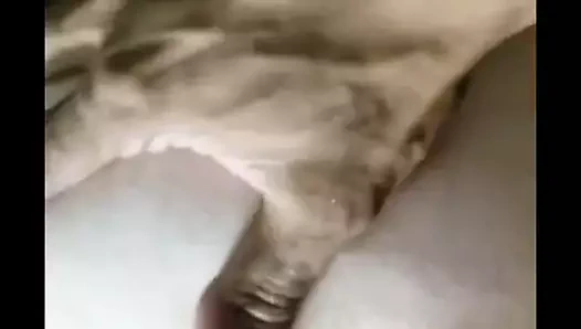 Arkadan çekimler bakış açısı