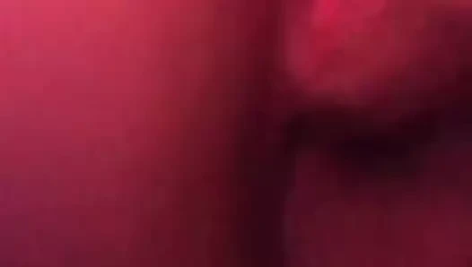 Büyük göt ve kedi oyun