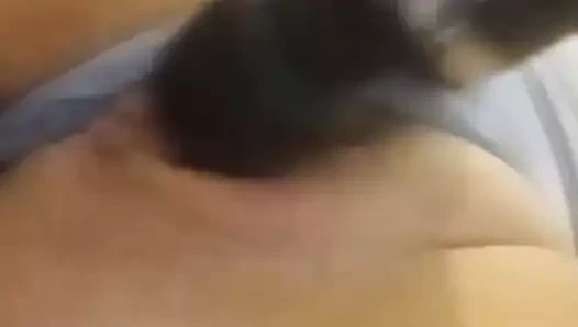 Yakın çekim klitoris oyun ve ıslak amatör kedi