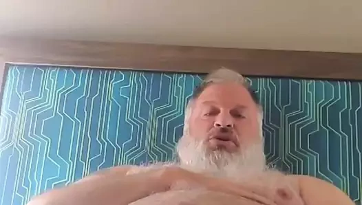 Tombul baba ayı büyük döl