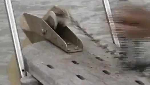 Almanya'dan sevimli hatun teknede sikiliyor