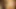 Riley Reid'in deve toynağı çok seksi