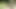 Olgun Kızlar Bahçede Birbirlerine Mastürbasyon Yapıyor Ve Birbirlerinin Vajinalarını Dildo Yapıyor