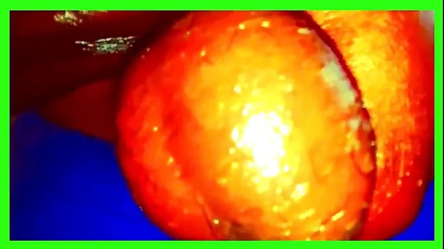 Bunu yaptığına inanamıyorum! Büyük zenci eşcinsel büyük yarak amatör büyük zenci yarağı boşalma pt32