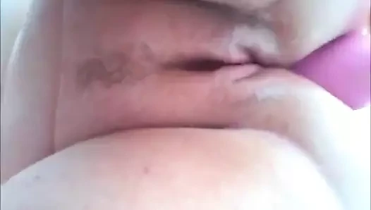 Pinky oyuncak ve traş kedi