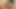 Trans girl fingering and jerking off on the bed