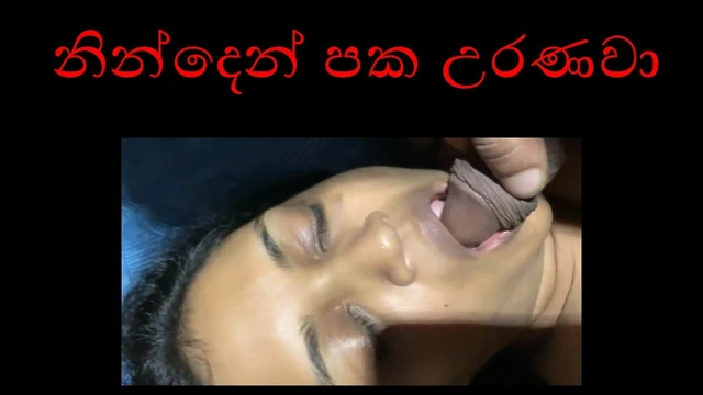 Good Night made best night with a shot of white warm thick cum meal
