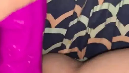 Mükemmel kedi oyun zamanı