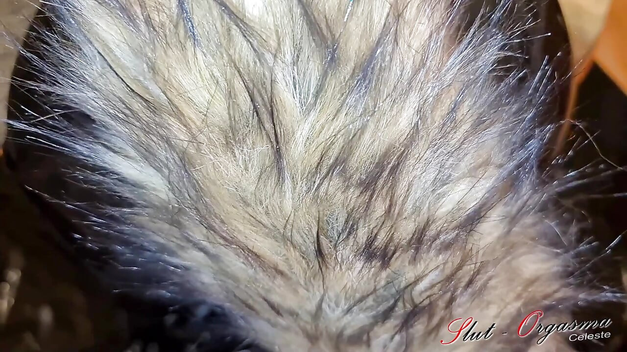 Sürtük-orgasma celeste köpek sürtüğü at yarağını seviyor