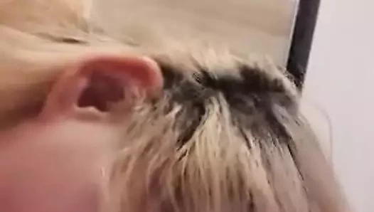 Sıcak sarışın genç berbat eski adam horoz ve yiyor tüm onun boşalmak