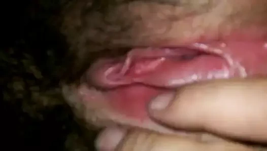 karısı ıslak kıllı KEDİ