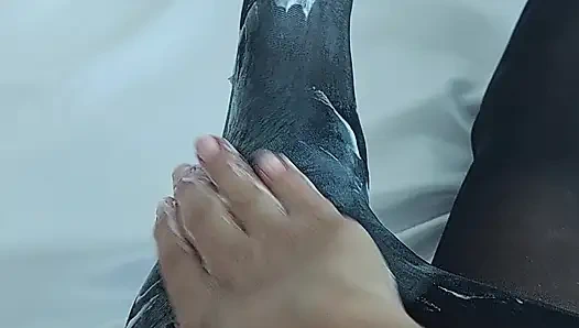 BLACK PANTYHOSE WITH LOTS OF COSMETICS