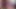 Pornstarplatinum - dövmeli hatun nikki zee büyük zenci yarağı tarafından sikiliyor