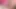 Orta yaşlı seksi kadın gırtlağına kadar yarak emiyor